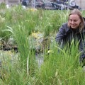 Linda Tegg’s Grasslands opens