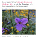Overheard at Grasslands