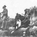 The Waler; a war horse