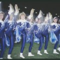 Carlton’s bluebirds