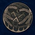 Alison Lester awarded the 2016 Dromkeen Medal