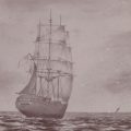'Cruising in search of whales'