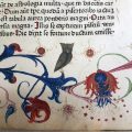 The owl and the heiress: The life of one book over six centuries