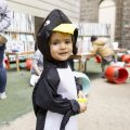 Penguins get to partying at Play Pod