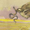 Illustrated children’s books: Samuel and William Calvert