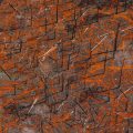 Bushfire and aftermath