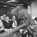 State Library Victoria calls on public to save Australia’s greatest news pictures
