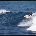 Hang ten with Rennie Ellis