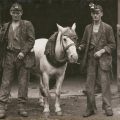 The Wonthaggi Coal Mine