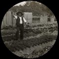 Getting your hands dirty with State Library Victoria