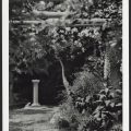 Edna Walling: wild at heart