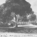 The Australian Joint Copying Project and family history research