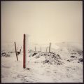 Winter illuminations: snow and shadows