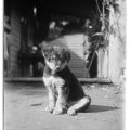 Snaps and stories: photo albums