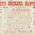 Central map showing streets and allotments, surrounded by text. The text says there are 45 allotments, trains every ten minutes, and that the deposit required is ten pounds. Dalley’s Orchard (Riversdale Road, Henrietta Street and Marian Street), 1884