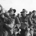 Researching your World War II ancestors